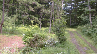 長野県菅平高原 ゆたか山荘 坂上 2026/08/09 13:30