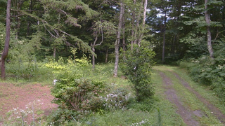 長野県菅平高原 ゆたか山荘 坂上 2026/08/09 13:45