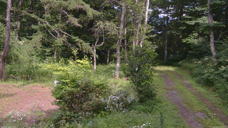 長野県菅平高原 ゆたか山荘 坂上 2026/08/09 14:00