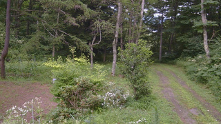 長野県菅平高原 ゆたか山荘 坂上 2026/08/09 14:15