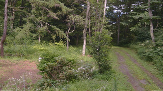 長野県菅平高原 ゆたか山荘 坂上 2026/08/09 14:30