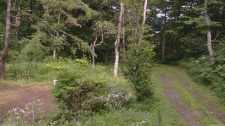 長野県菅平高原 ゆたか山荘 坂上 2026/08/09 14:45