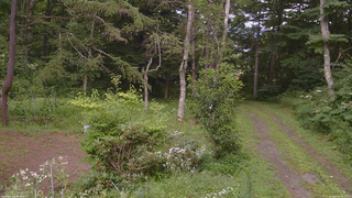 長野県菅平高原 ゆたか山荘 坂上 2026/08/09 15:15