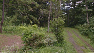 長野県菅平高原 ゆたか山荘 坂上 2026/08/09 15:30