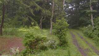長野県菅平高原 ゆたか山荘 坂上 2026/08/09 15:45