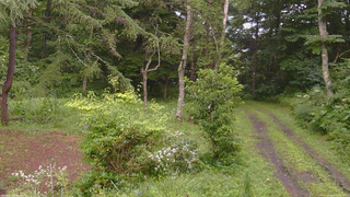 長野県菅平高原 ゆたか山荘 坂上 2026/08/09 16:00
