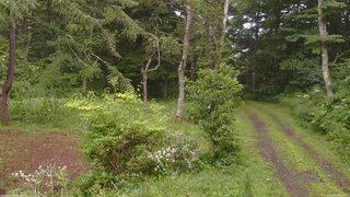 長野県菅平高原 ゆたか山荘 坂上 2026/08/09 16:15