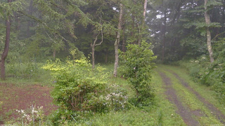 長野県菅平高原 ゆたか山荘 坂上 2026/08/09 16:30