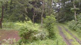 長野県菅平高原 ゆたか山荘 坂上 2026/08/09 16:45