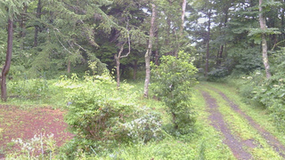 長野県菅平高原 ゆたか山荘 坂上 2026/08/09 17:15