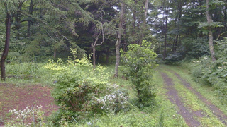 長野県菅平高原 ゆたか山荘 坂上 2026/08/09 17:45