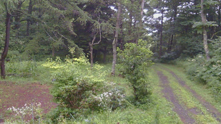 長野県菅平高原 ゆたか山荘 坂上 2026/08/09 18:00