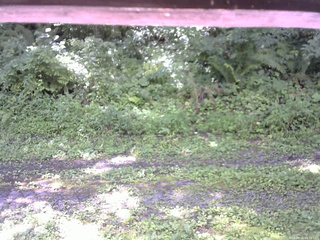 長野県菅平高原 ゆたか山荘 東側(坂下) 2026/08/10 09:30