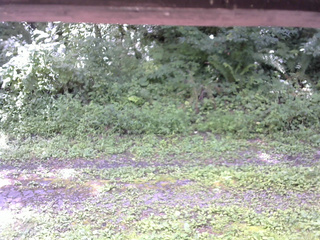 長野県菅平高原 ゆたか山荘 東側(坂下) 2026/08/10 11:15
