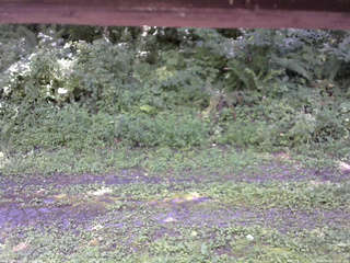 長野県菅平高原 ゆたか山荘 東側(坂下) 2026/08/10 12:45