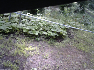 長野県菅平高原 ゆたか山荘 駐車場 2026/08/10 07:45