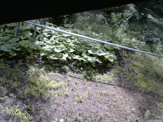 長野県菅平高原 ゆたか山荘 駐車場 2026/08/10 08:00