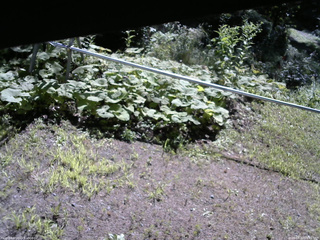 長野県菅平高原 ゆたか山荘 駐車場 2026/08/10 08:45