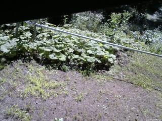 長野県菅平高原 ゆたか山荘 駐車場 2026/08/10 09:00