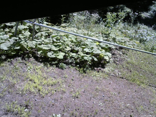 長野県菅平高原 ゆたか山荘 駐車場 2026/08/10 09:15