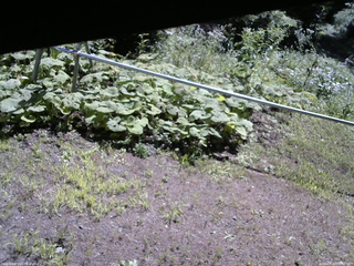 長野県菅平高原 ゆたか山荘 駐車場 2026/08/10 09:30