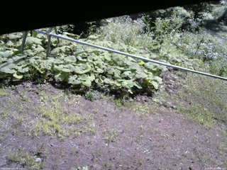 長野県菅平高原 ゆたか山荘 駐車場 2026/08/10 10:00