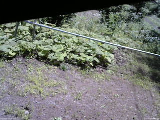 長野県菅平高原 ゆたか山荘 駐車場 2026/08/10 10:45