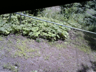 長野県菅平高原 ゆたか山荘 駐車場 2026/08/10 11:00