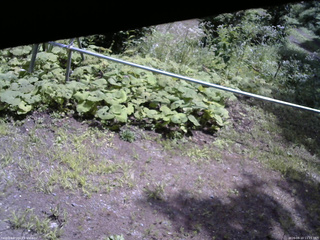 長野県菅平高原 ゆたか山荘 駐車場 2026/08/10 11:15