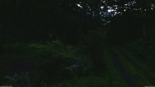 長野県菅平高原 ゆたか山荘 坂上 2026/08/10 05:00