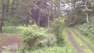 長野県菅平高原 ゆたか山荘 坂上 2026/08/10 05:30