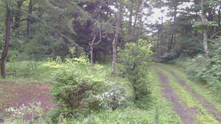 長野県菅平高原 ゆたか山荘 坂上 2026/08/10 06:00