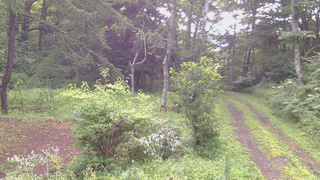 長野県菅平高原 ゆたか山荘 坂上 2026/08/10 06:15