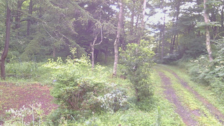 長野県菅平高原 ゆたか山荘 坂上 2026/08/10 06:30