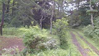 長野県菅平高原 ゆたか山荘 坂上 2026/08/10 07:00