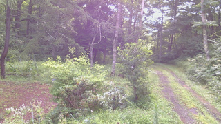 長野県菅平高原 ゆたか山荘 坂上 2026/08/10 07:15