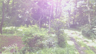 長野県菅平高原 ゆたか山荘 坂上 2026/08/10 07:30