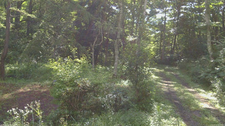 長野県菅平高原 ゆたか山荘 坂上 2026/08/10 08:15