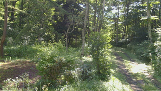長野県菅平高原 ゆたか山荘 坂上 2026/08/10 08:30