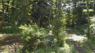 長野県菅平高原 ゆたか山荘 坂上 2026/08/10 08:45