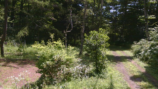 長野県菅平高原 ゆたか山荘 坂上 2026/08/10 10:45