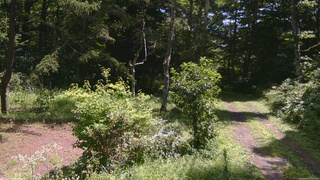 長野県菅平高原 ゆたか山荘 坂上 2026/08/10 11:00