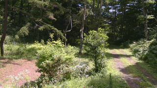 長野県菅平高原 ゆたか山荘 坂上 2026/08/10 11:15