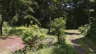 長野県菅平高原 ゆたか山荘 坂上 2026/08/10 11:30