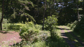 長野県菅平高原 ゆたか山荘 坂上 2026/08/10 11:45