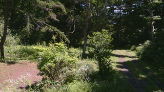 長野県菅平高原 ゆたか山荘 坂上 2026/08/10 12:00