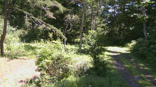 長野県菅平高原 ゆたか山荘 坂上 2026/08/10 12:30