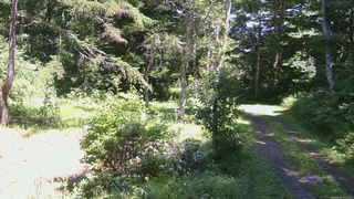 長野県菅平高原 ゆたか山荘 坂上 2026/08/10 13:15