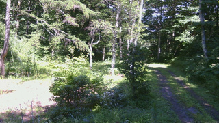 長野県菅平高原 ゆたか山荘 坂上 2026/08/10 14:00