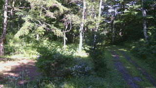 長野県菅平高原 ゆたか山荘 坂上 2026/08/10 15:00